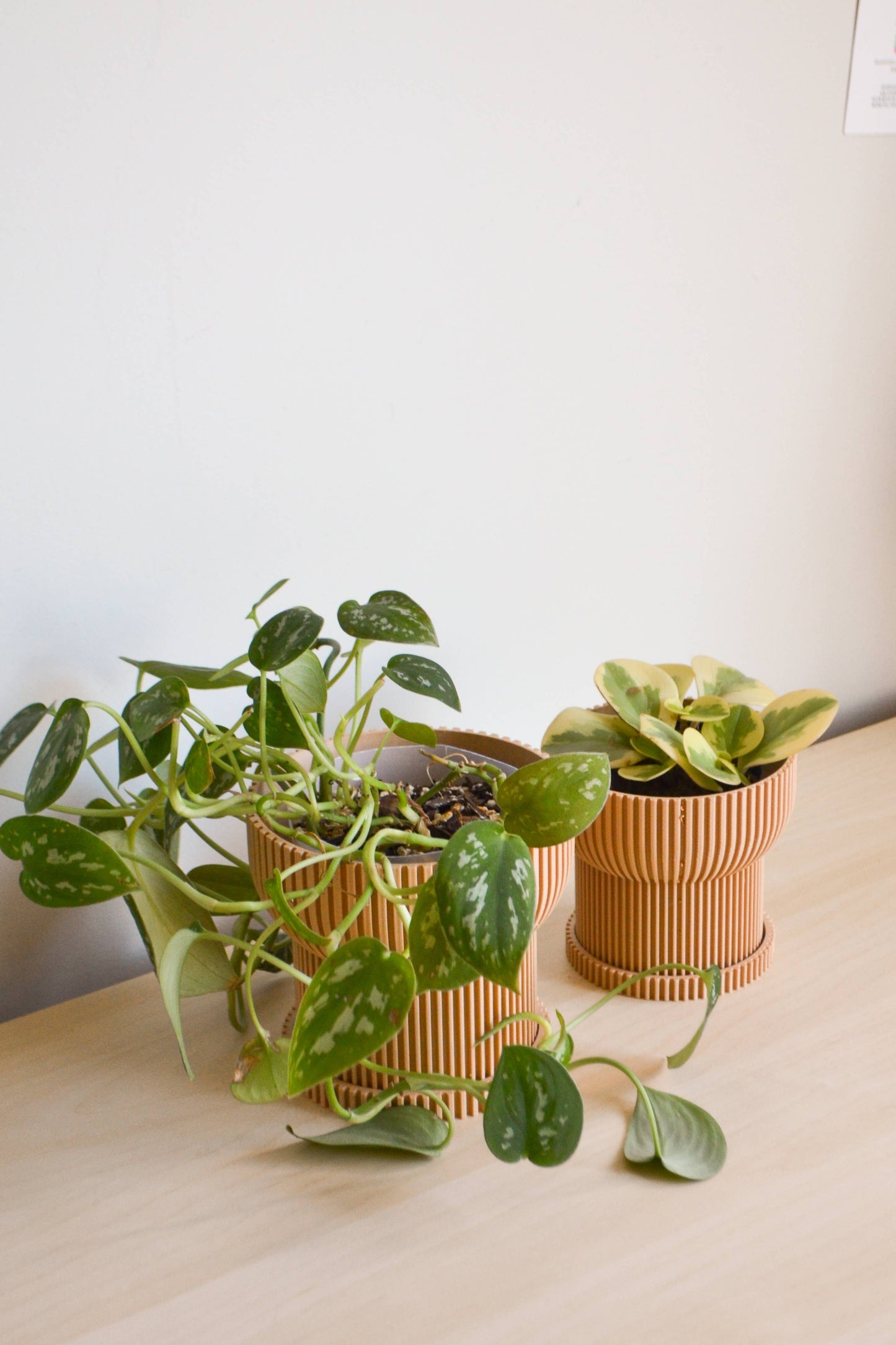 4" Japandi Ridged Planter with Drainage Tray: Dark Green