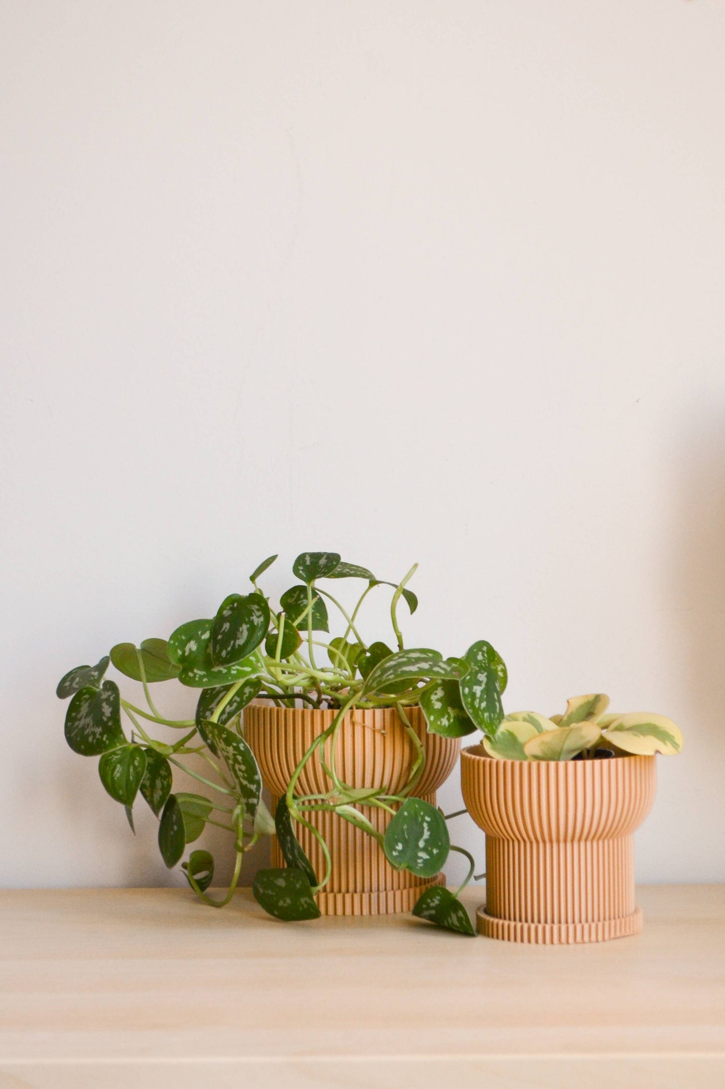 4" Japandi Ridged Planter with Drainage Tray: Dark Green