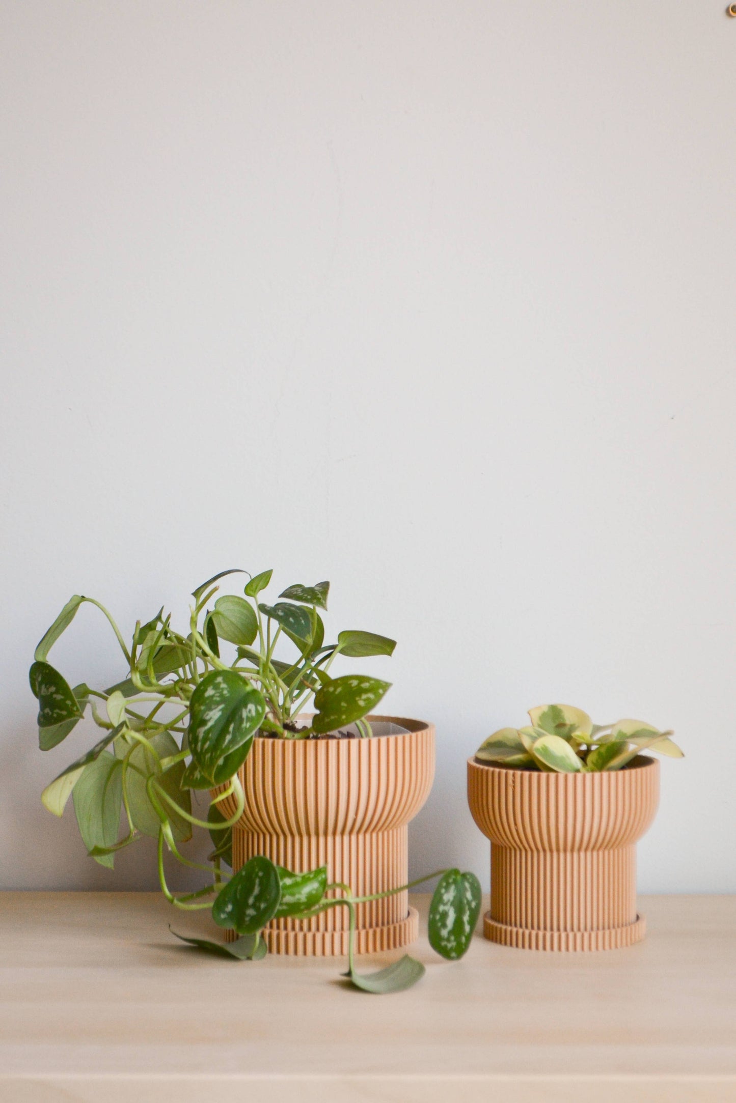 4" Japandi Ridged Planter with Drainage Tray: Dark Green