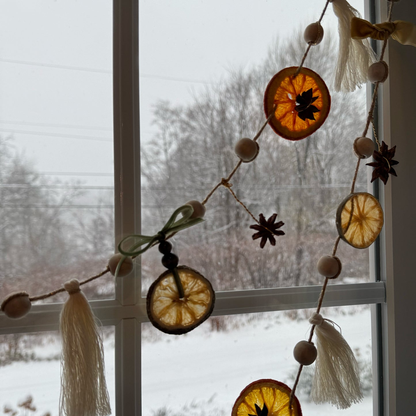Dried Orange Natural Garland